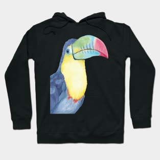 Watercolor keel-billed toucan painting bird Hoodie